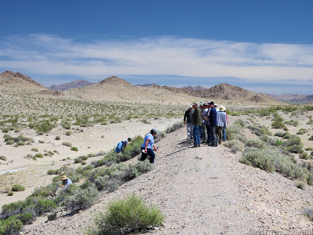 California, San Bernardino, Mesquite Spring