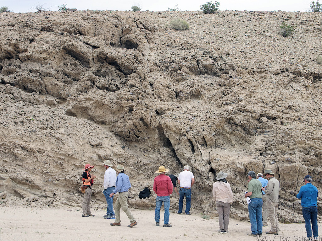 California, San Bernardino County, Mojave Valley