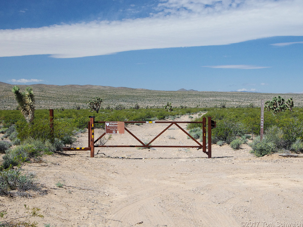 California, San Bernardino County, Shadow Valley