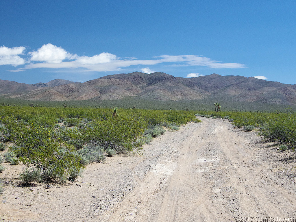 California, San Bernardino County, Shadow Valley