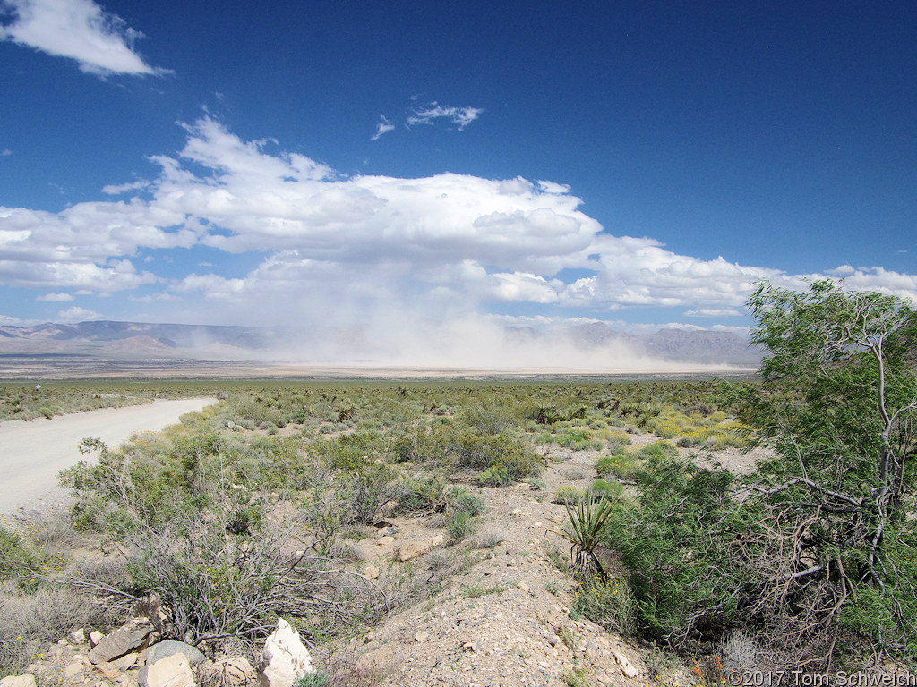 California, San Bernardino, Mesquite Valley