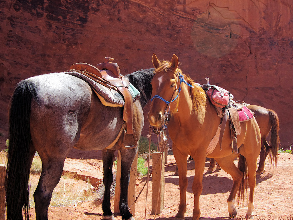 Arizona, Navajo County, Monument Valley