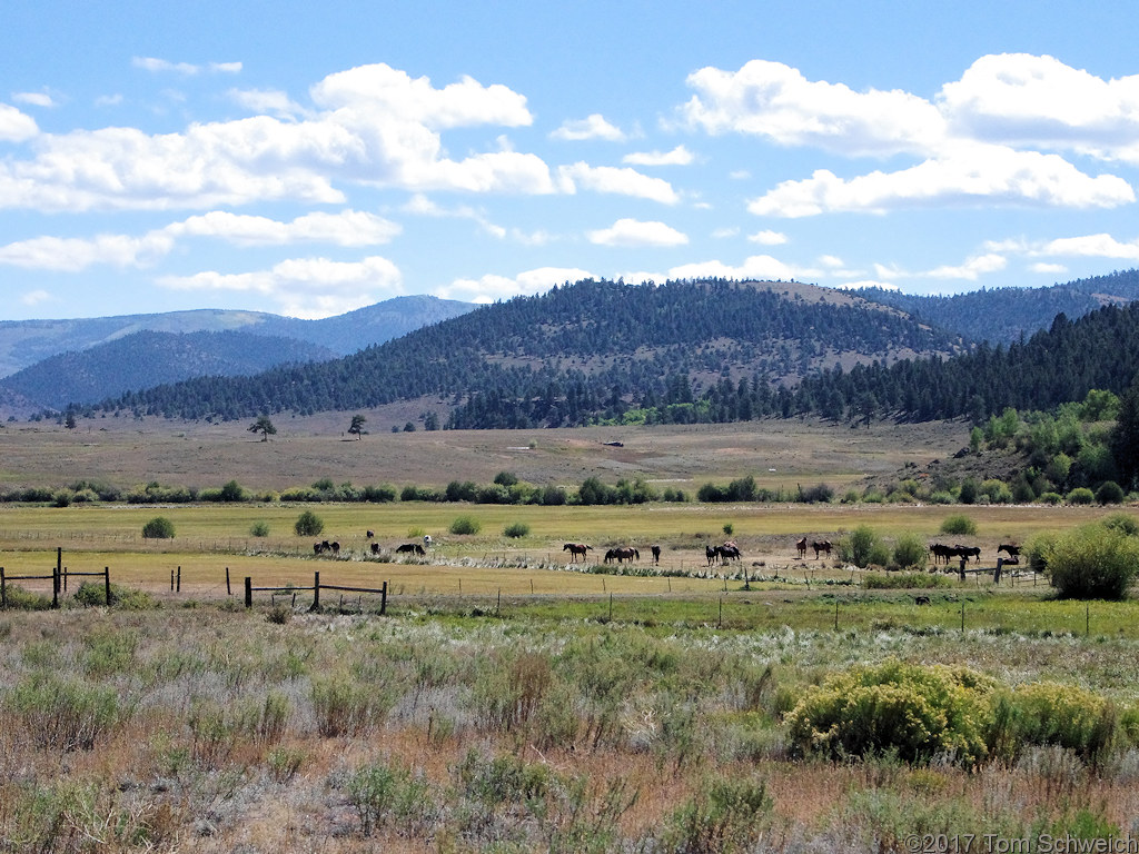 Colorado, Gunnison County, Powderhorn