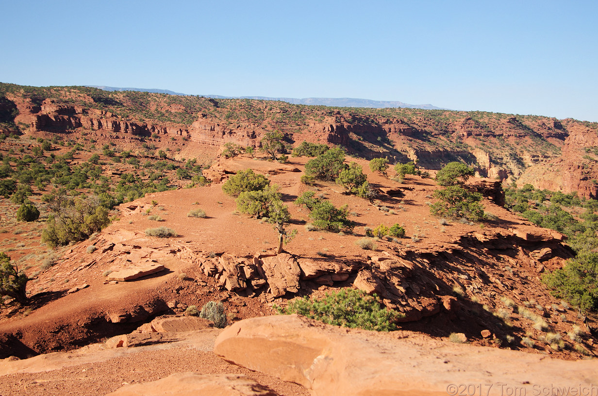 Utah, Wayne County, Capitol Reef National Park