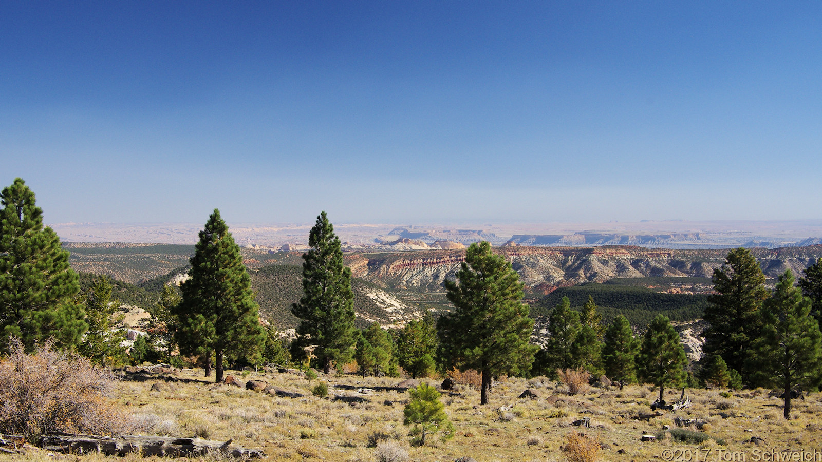 Utah, Garfield County, Larb Hollow Overlook