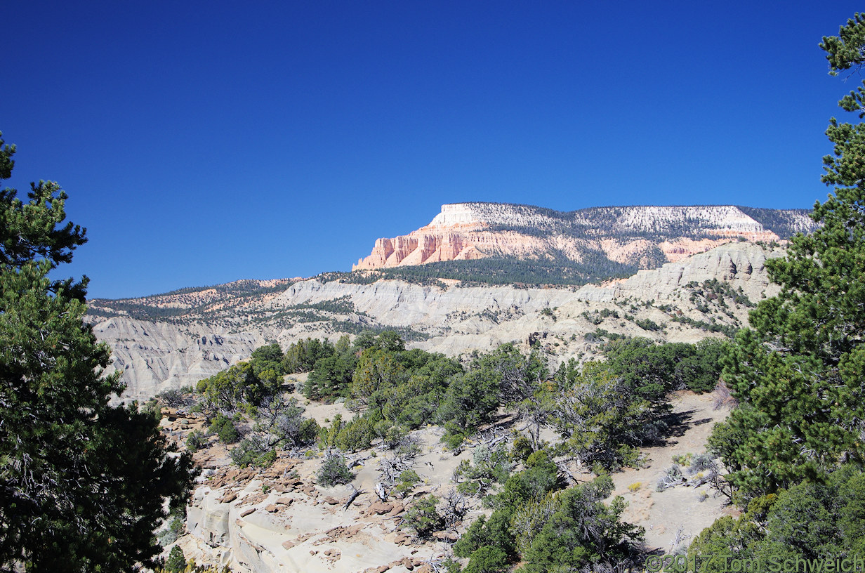 Utah, Garfield County, Powell Point