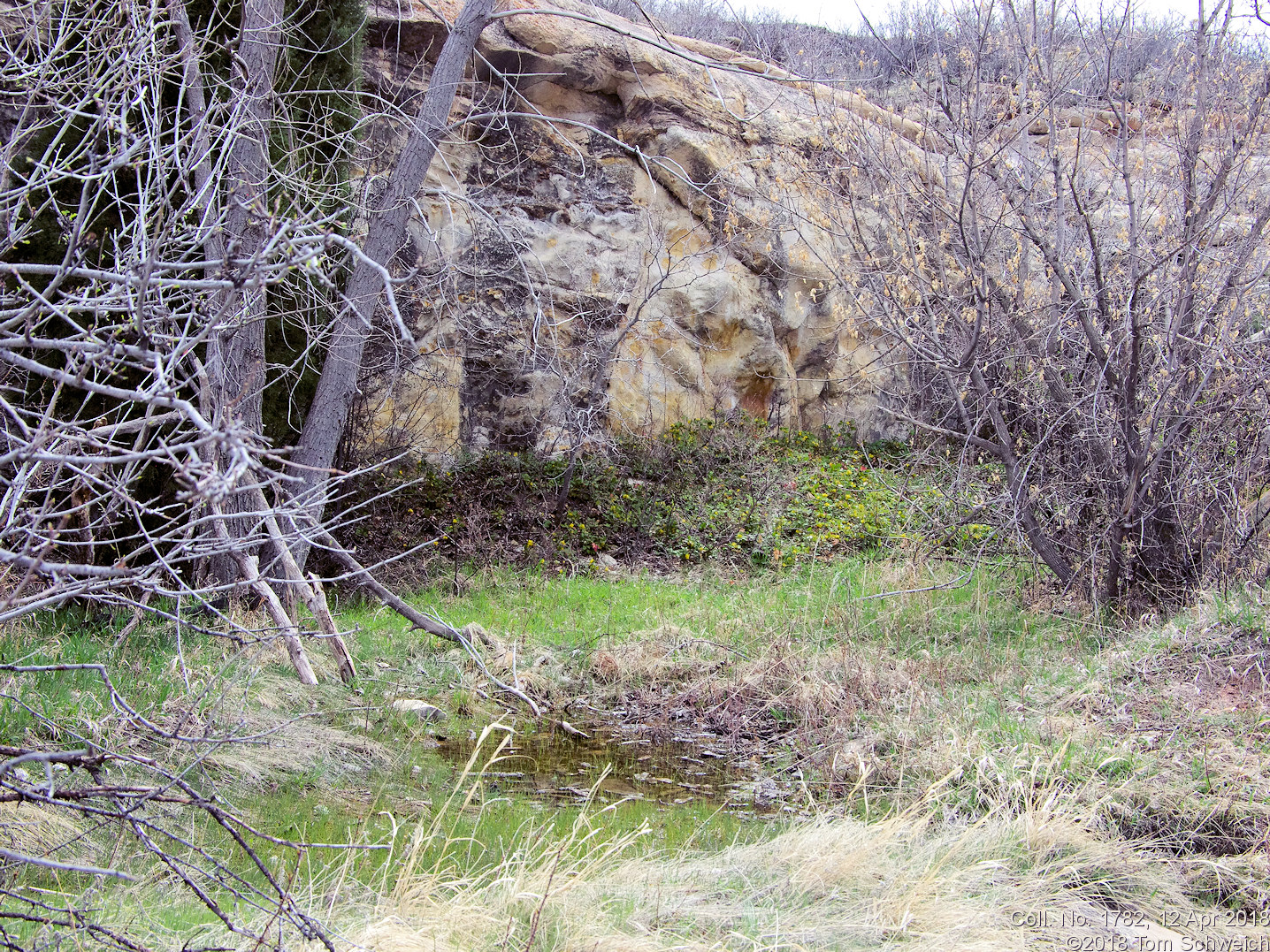 Colorado, Jefferson County, Golden