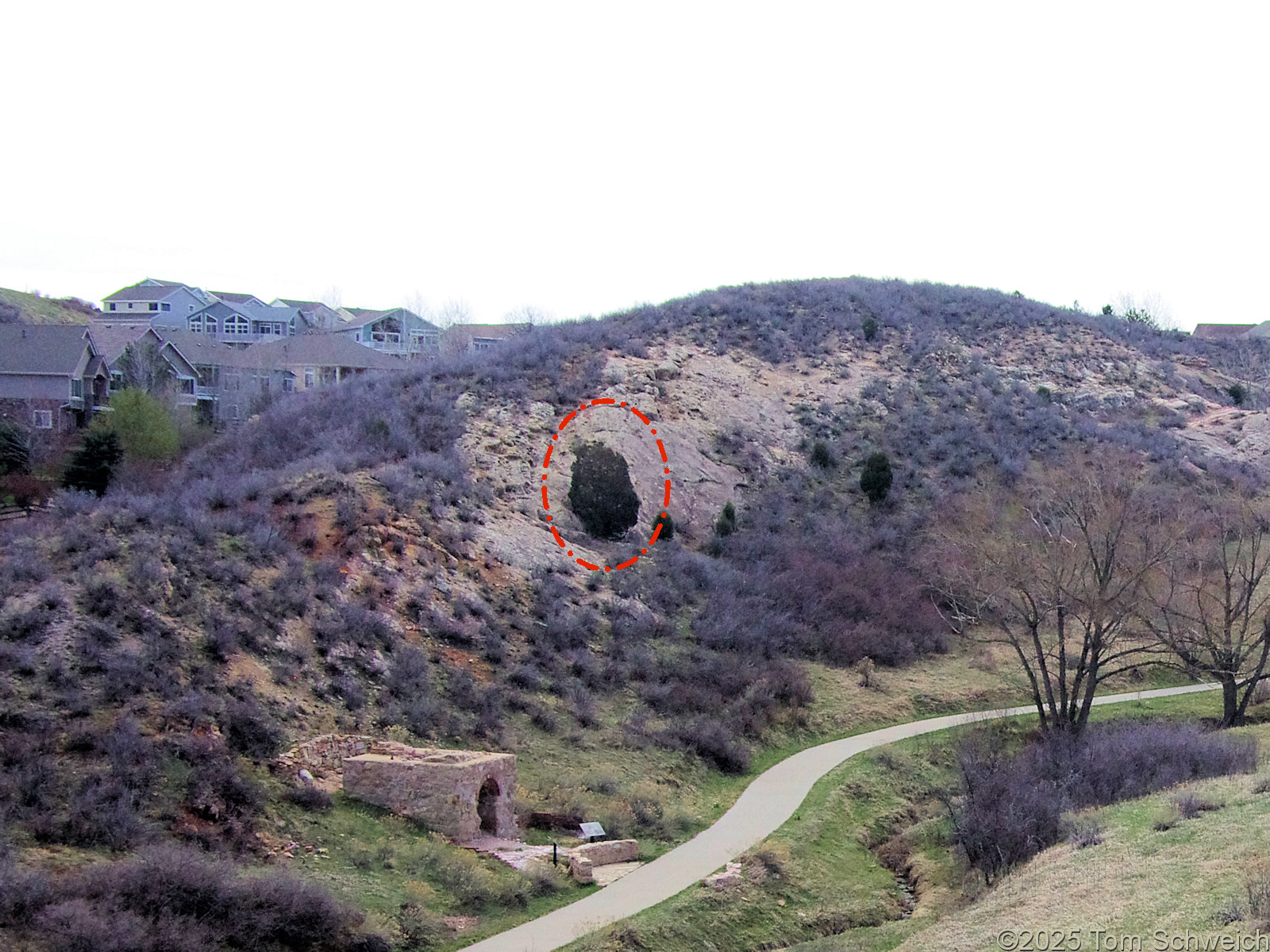 Colorado, Jefferson County, Golden, Wildfire Mitigation