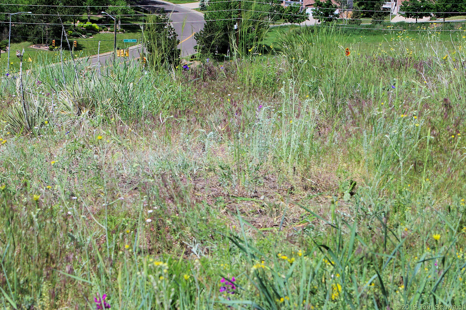 Colorado, Jefferson County, Golden, North Washington Open Space