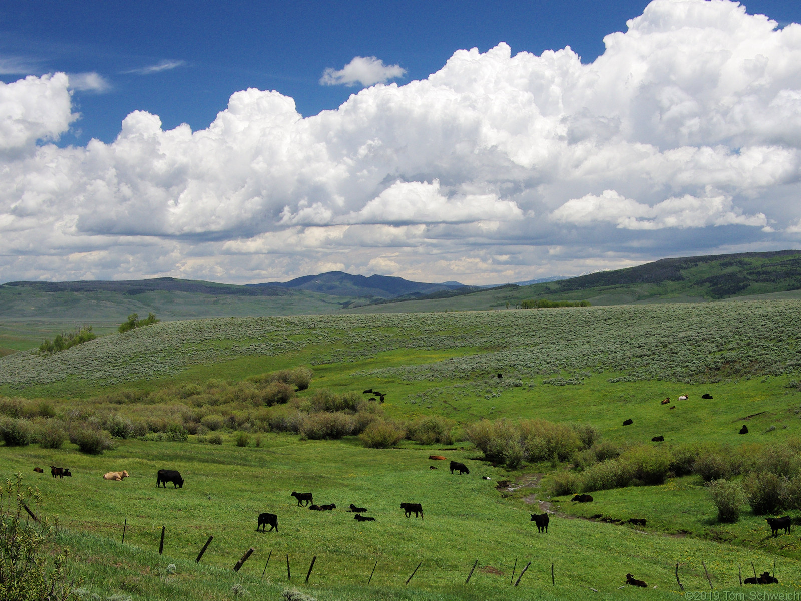 Colorado, Routt County, Five Pine Mesa