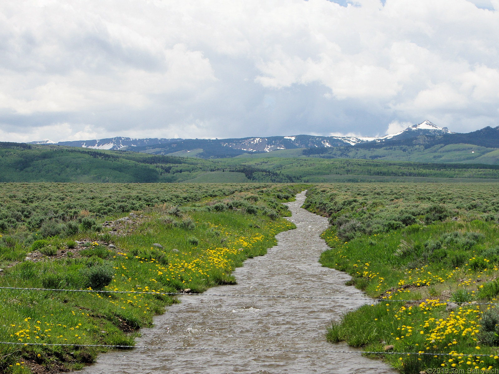 Colorado, Routt County, Five Pine Mesa