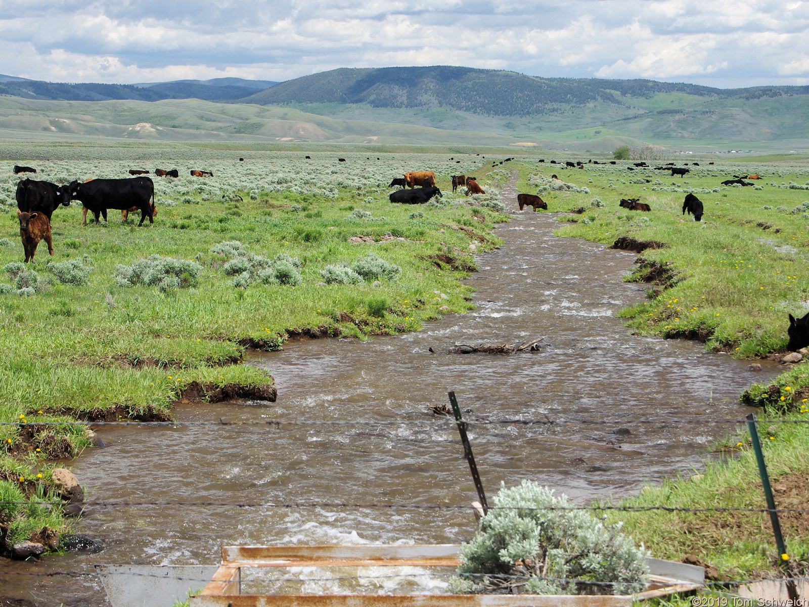 Colorado, Routt County, Five Pine Mesa