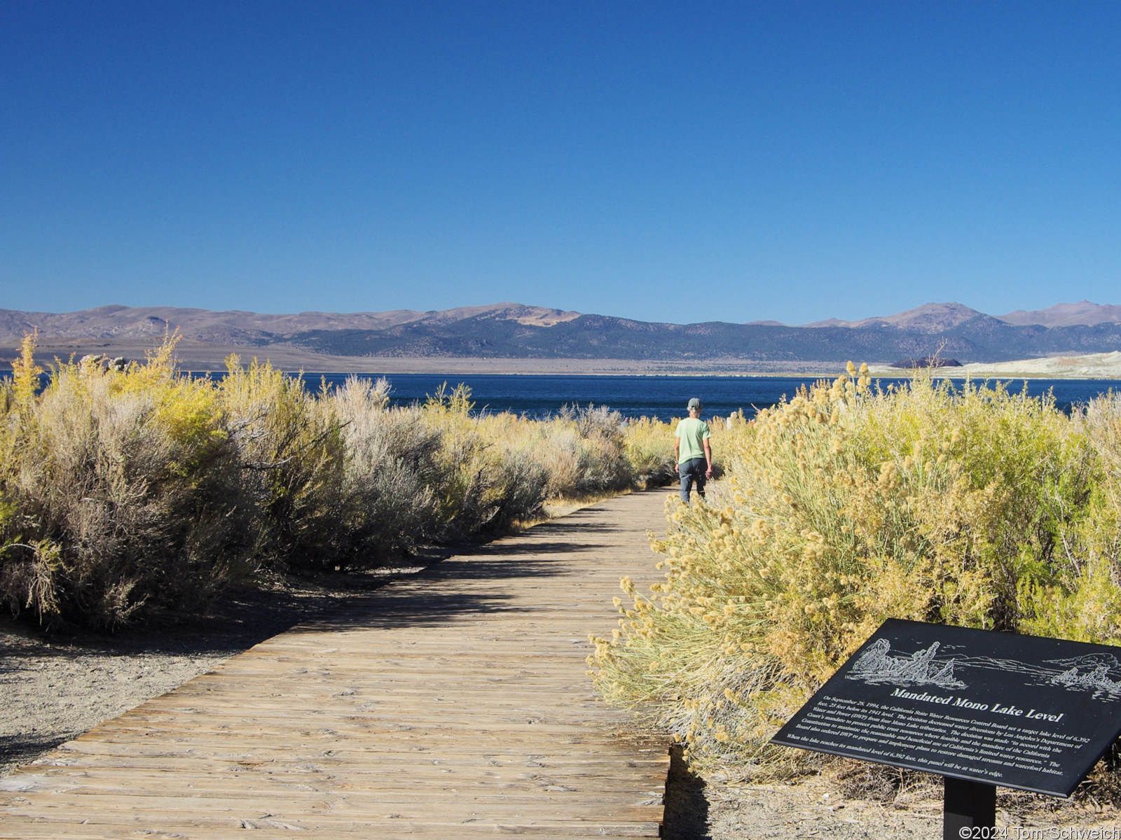 California, Mono County, Mono Lake South Tufa