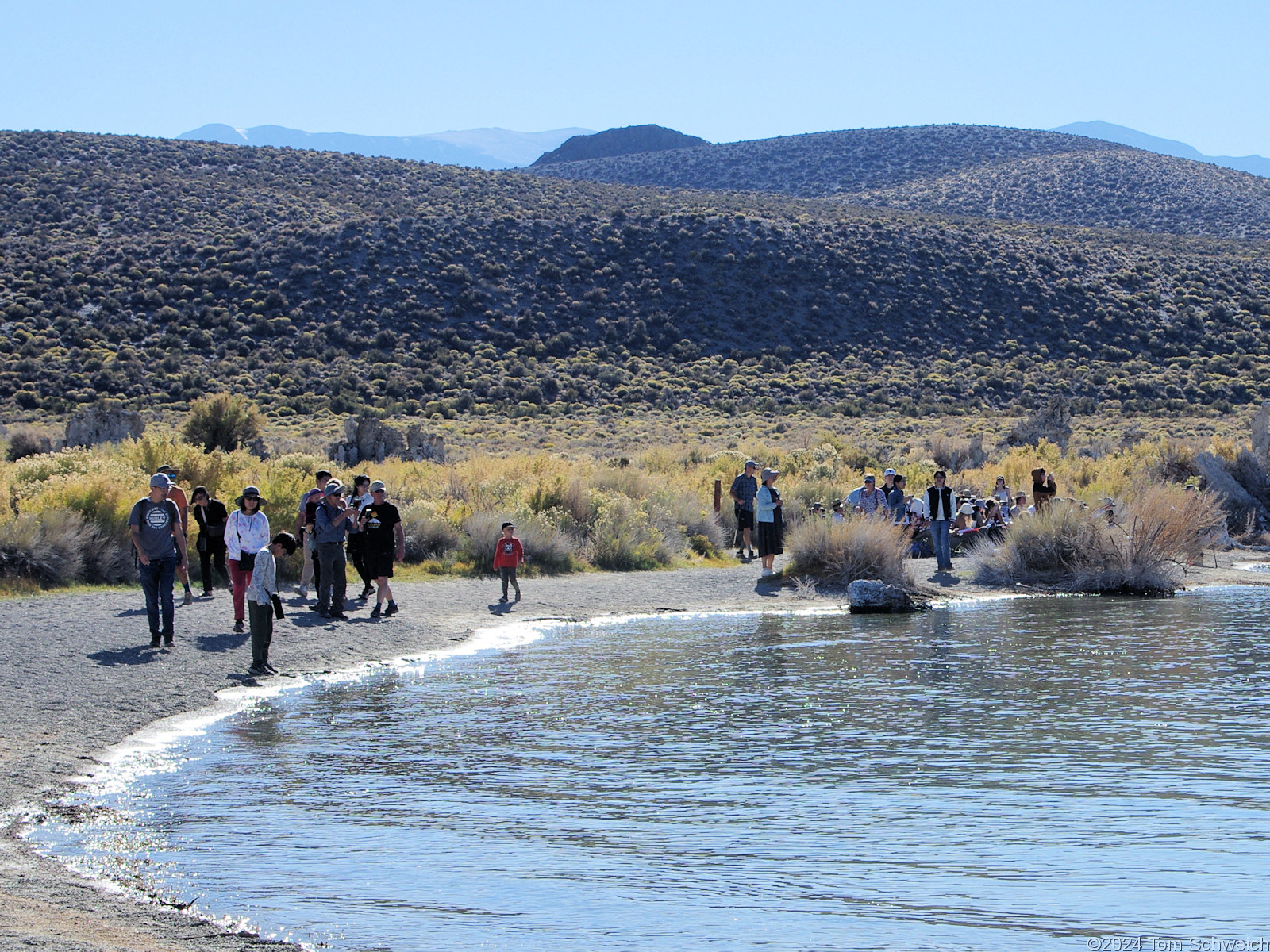 California, Mono County, Mono Lake South Tufa