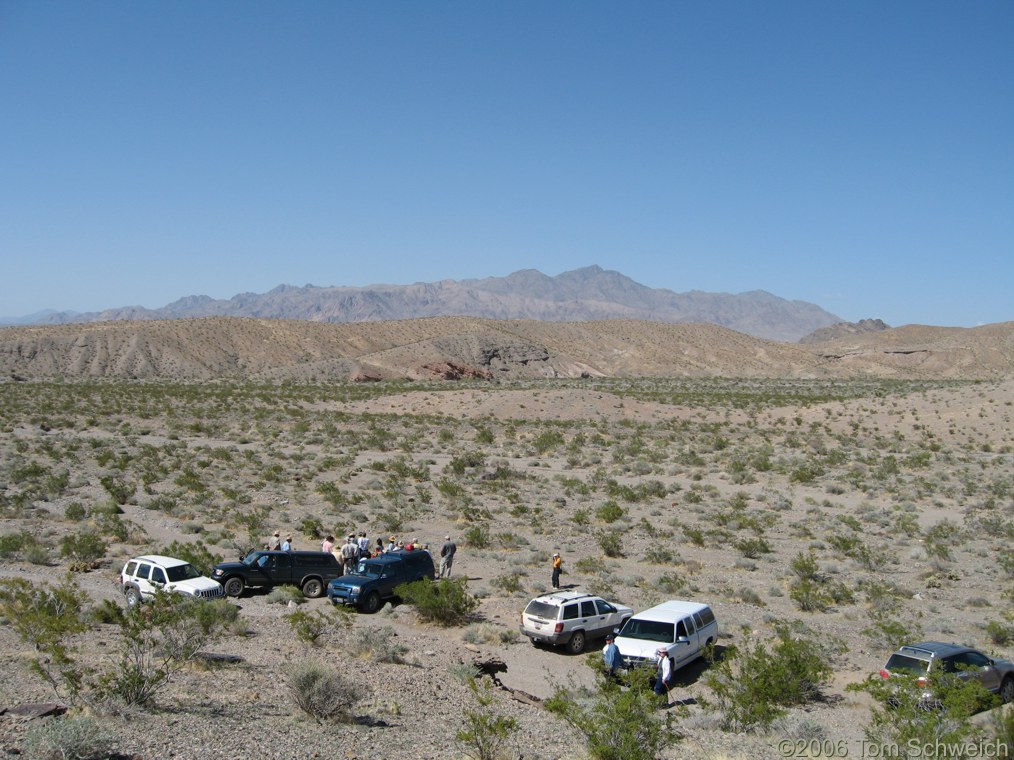 Eastern Star Wash, Shadow Mountains, San Bernardino County, California