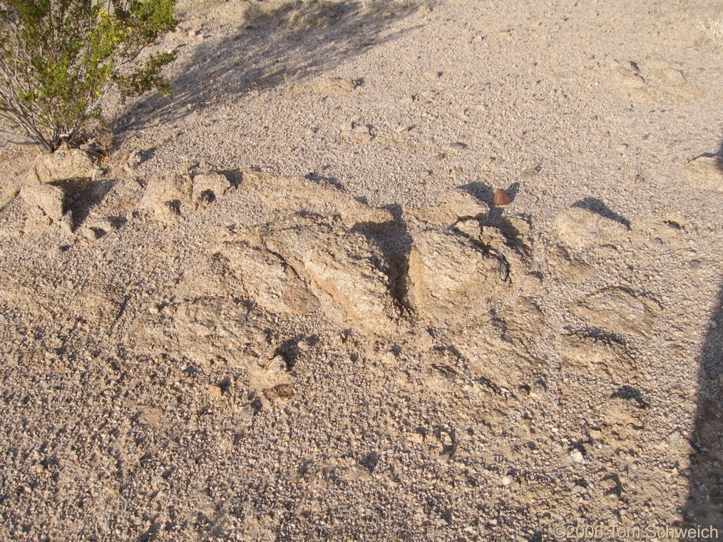 Liesegang Weathering, Silurian Hills, San Bernardino, California