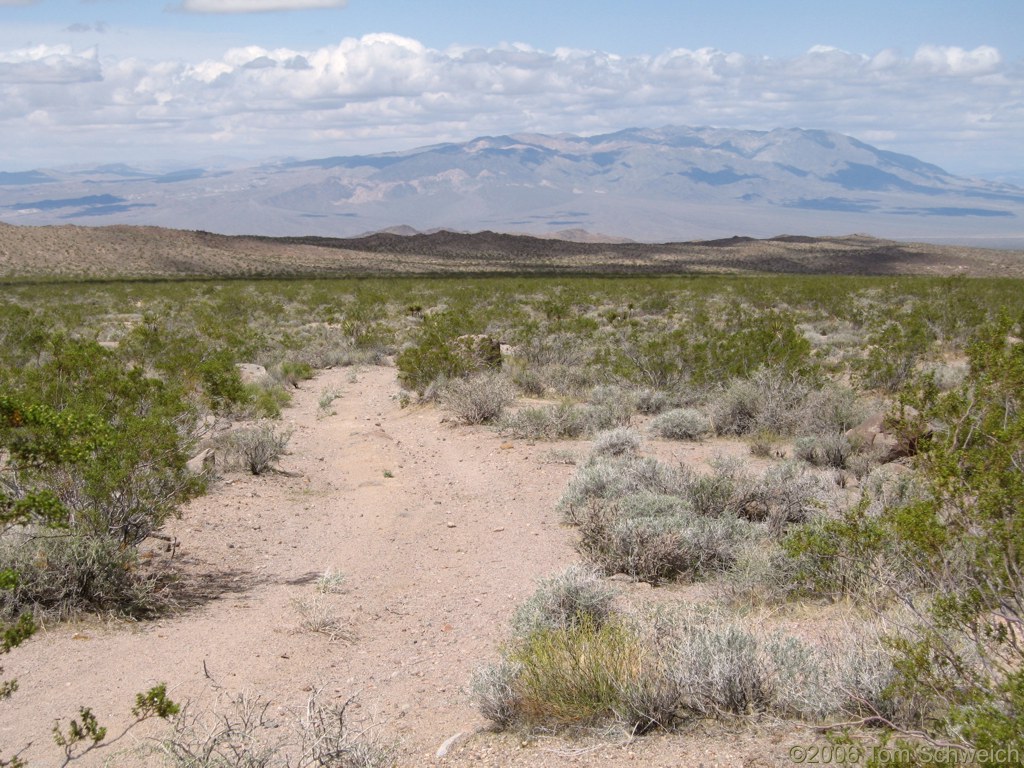 Halloran Hills, San Bernardino County, California