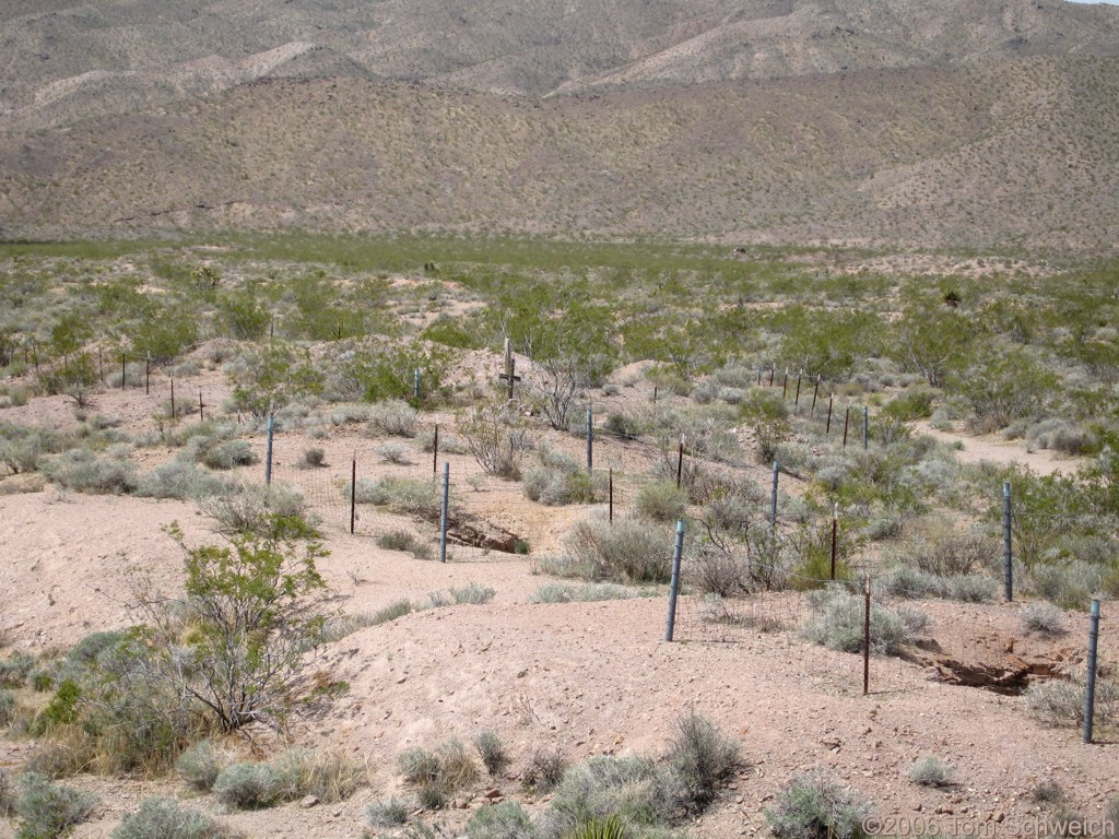 Wander Mine, San Bernardino County, California