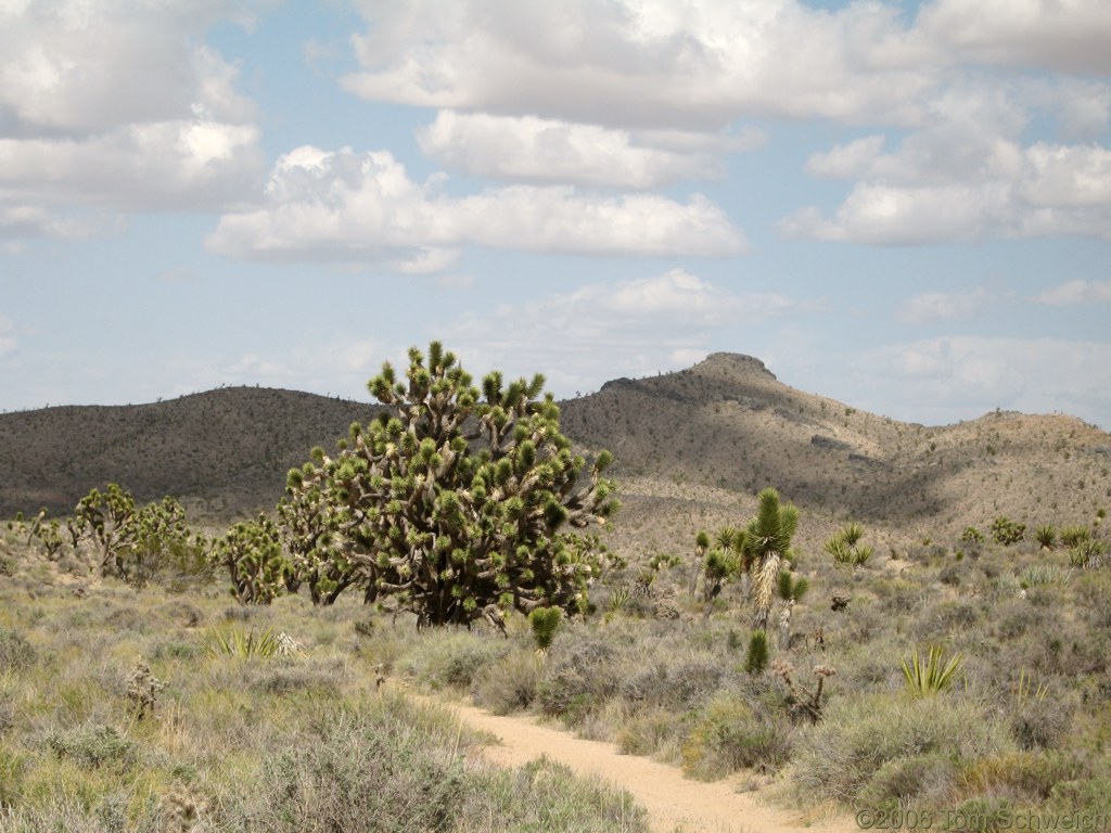 Halloran Hills, San Bernardino County, California