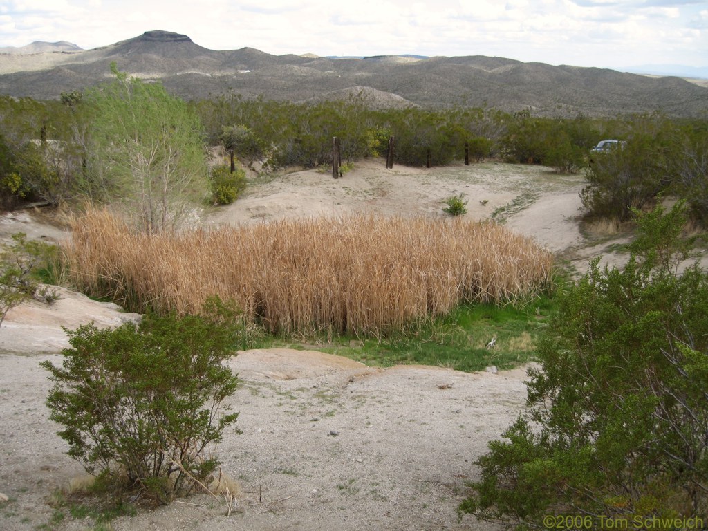 Bull Spring, San Bernardino County, California