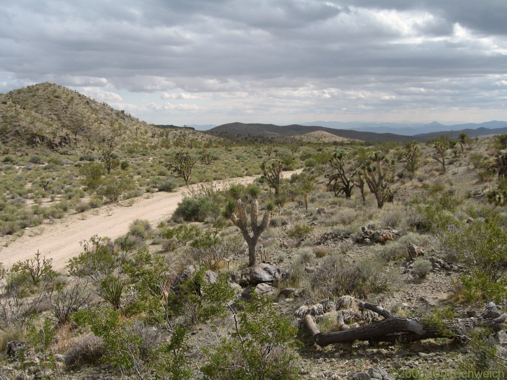 Bull Spring Wash, San Bernardino County, California