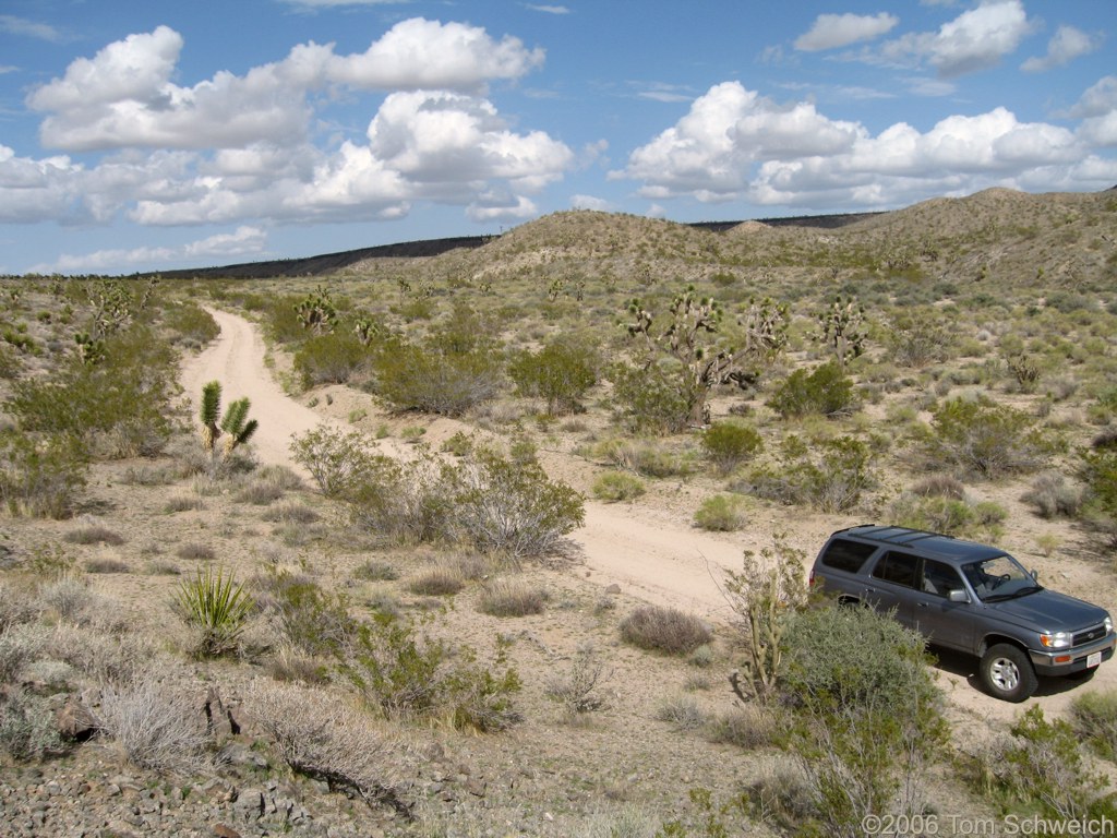 Bull Spring Wash, San Bernardino County, California