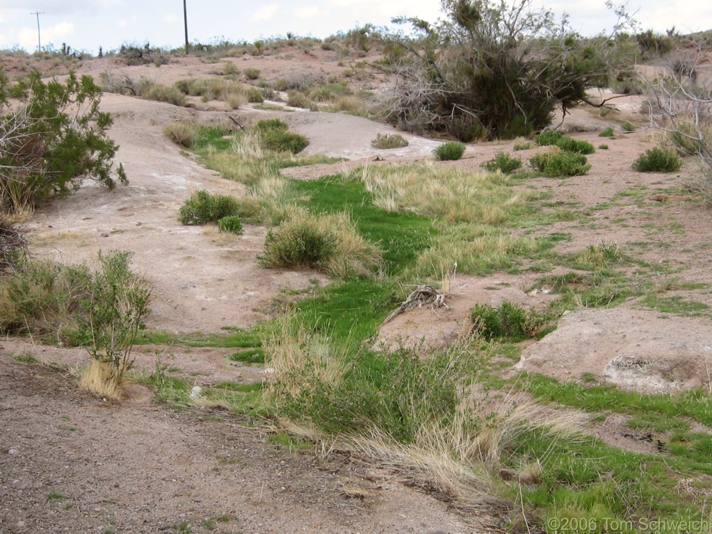 Halloran Spring, San Bernardino County, California