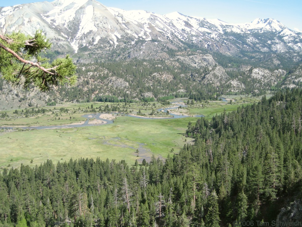 Leavitt Meadow, Mono County, California