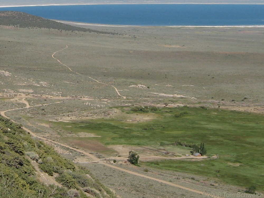 Conway Ranch, Mono County, California