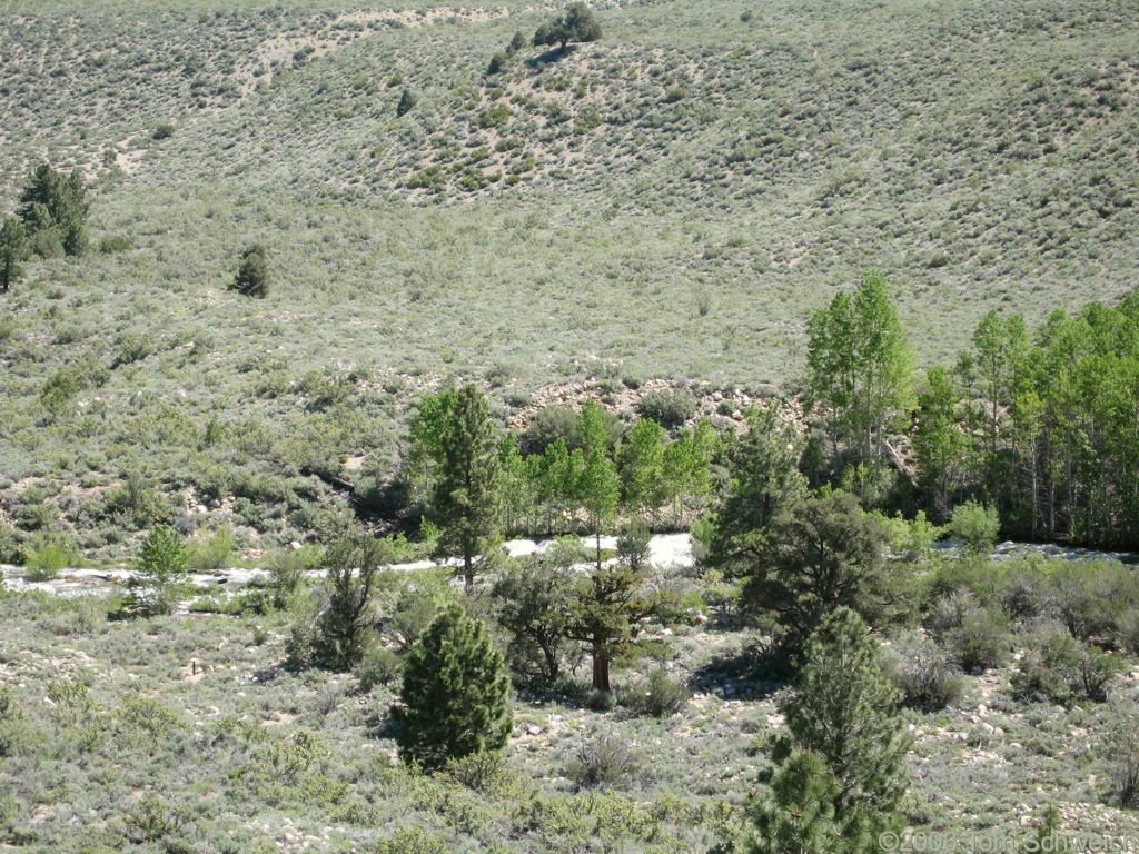 Lee Vining Creek, Mono County, California