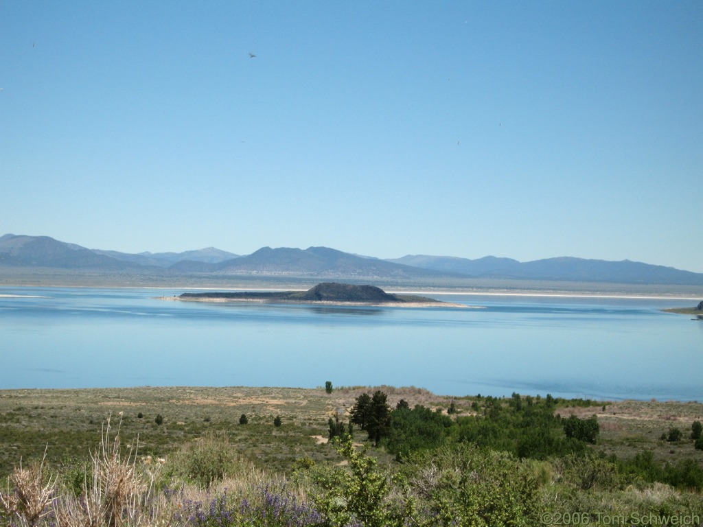 Negit Island, Mono Lake, California