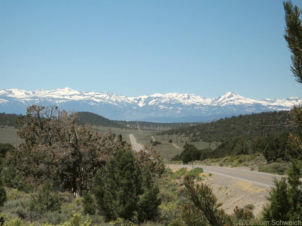 Sierra Nevada, Anchorite Pass, Mineral County, Nevada