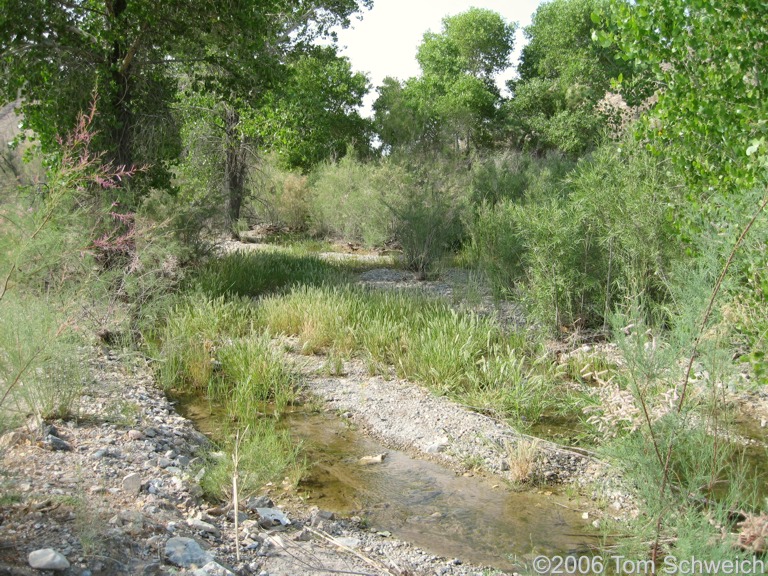 Amargosa River, Beatty, Nye County, California