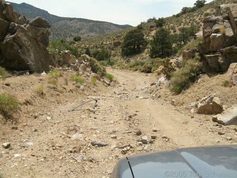 Clark Mountain, San Bernardino County, California