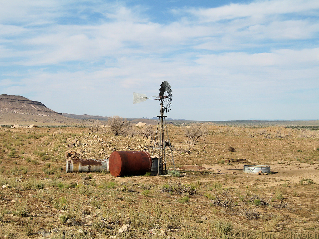 California, San Bernardino County, Mojave National Preserve, Round Valley. Holliman Well