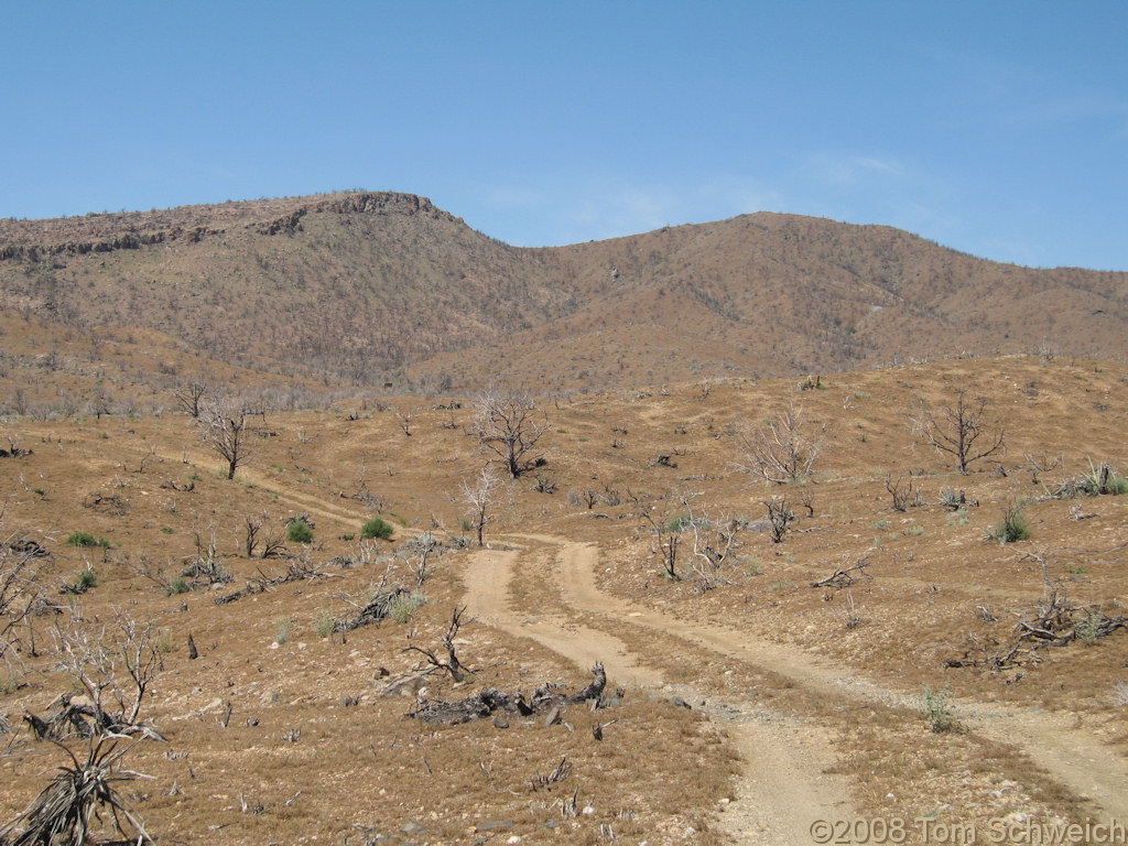 Wild Horse Canyon, Mojave National Preserve, San Bernardino County, California