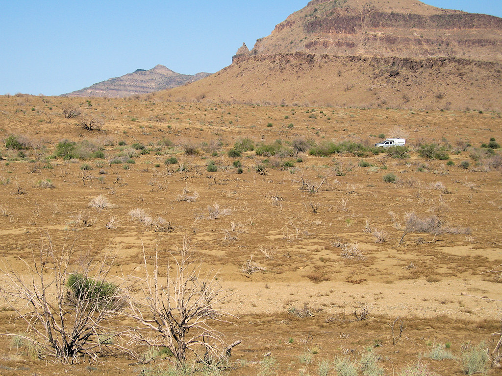 California, San Bernardino County, Mojave National Preserve, Wild Horse Canyon