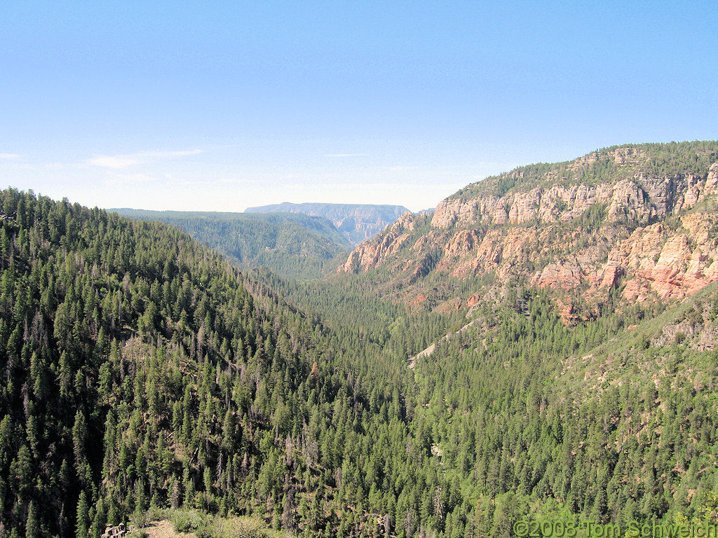 Arizona, Coconino County, Oak Creek Canyon