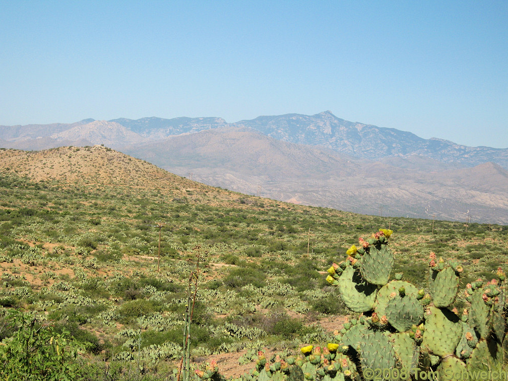 Arizona, Cochise County