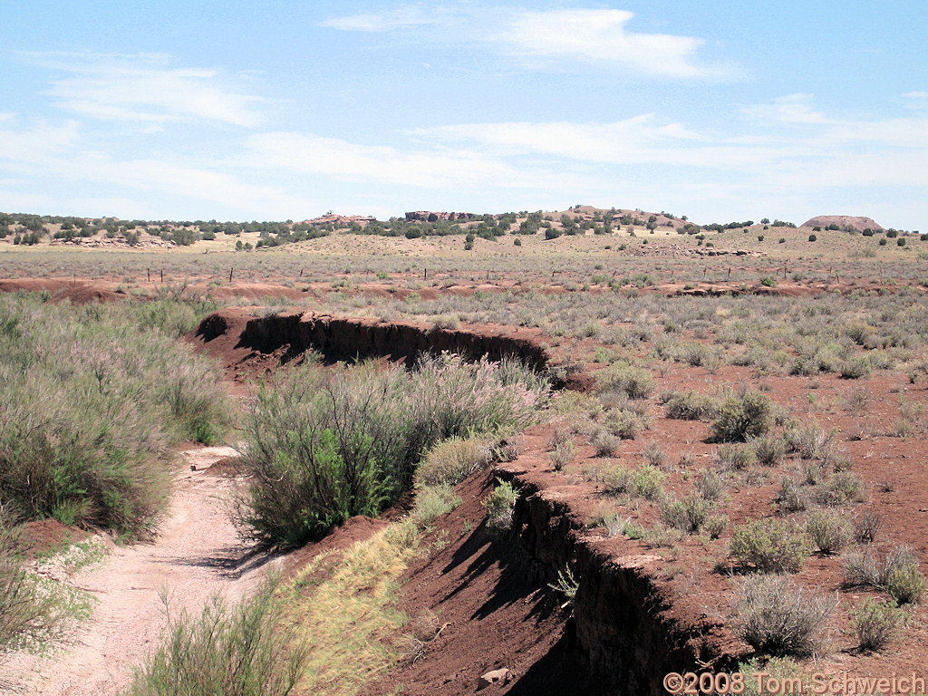 Arizona, Apache County, Little Colorado River