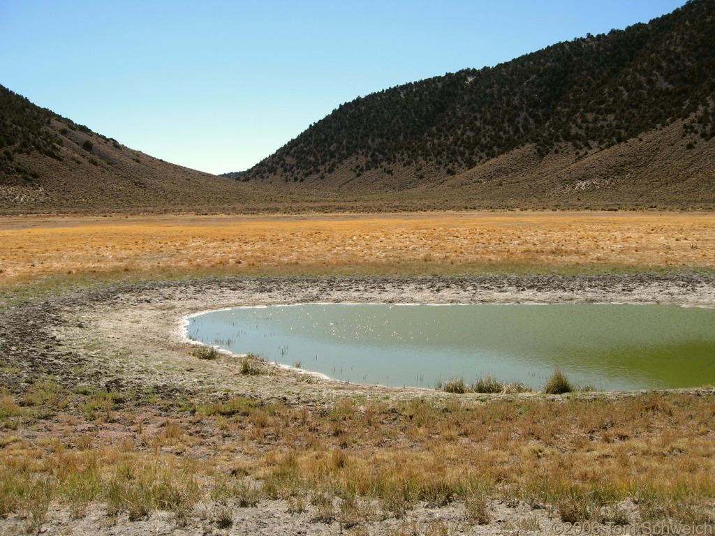 Larkin Lake, Mono County, California