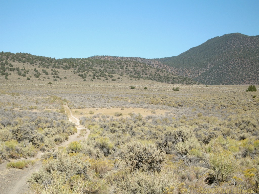 Trench Canyon, Mono County, California