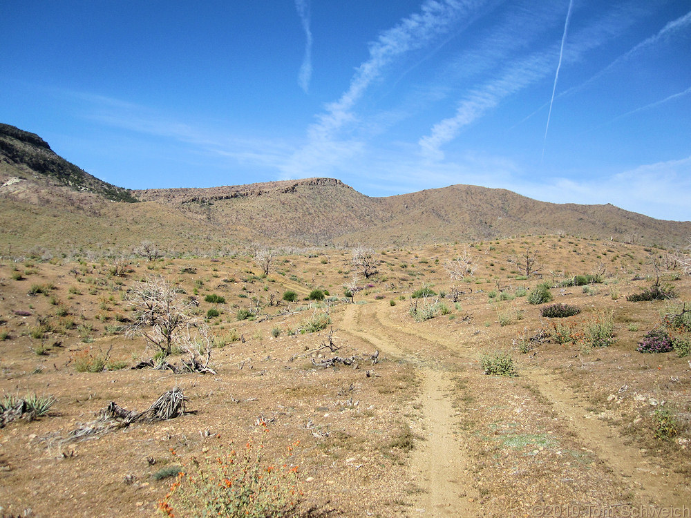 California, San Bernardino County, Wild Horse Canyon