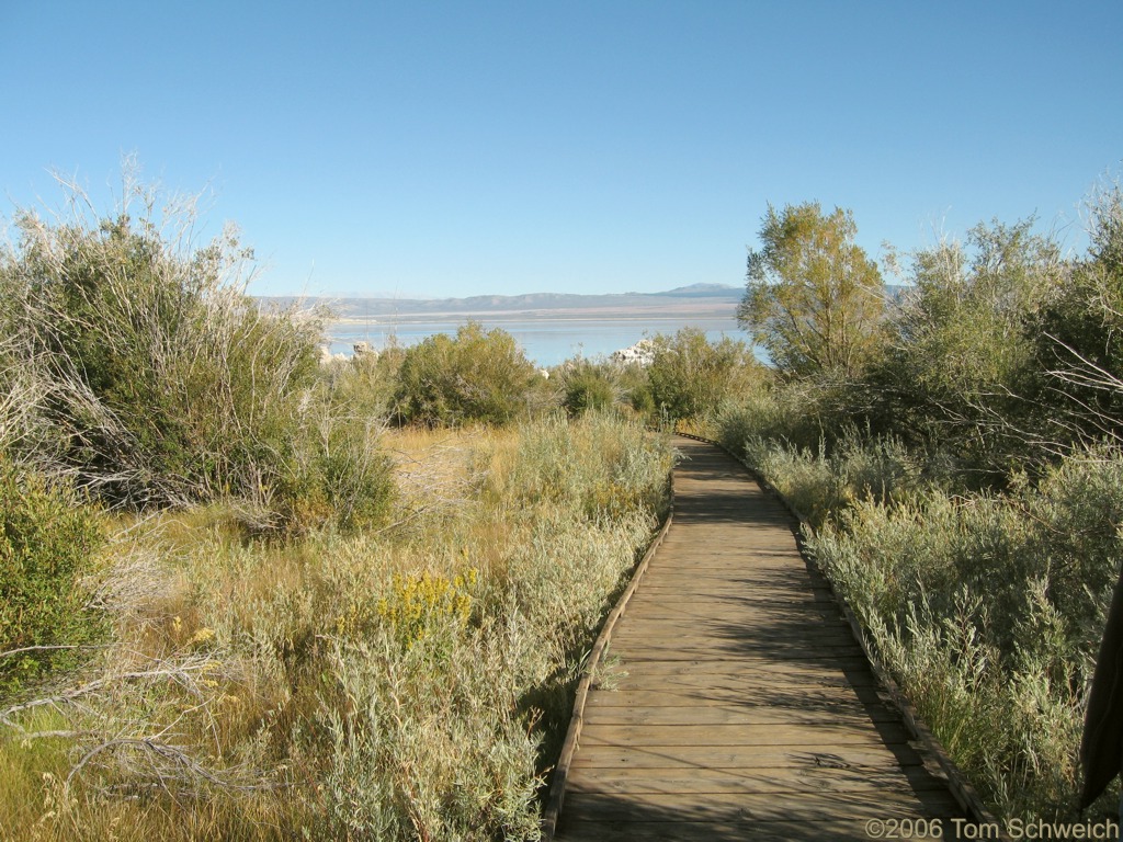 Mono Lake County Park, Mono County, California