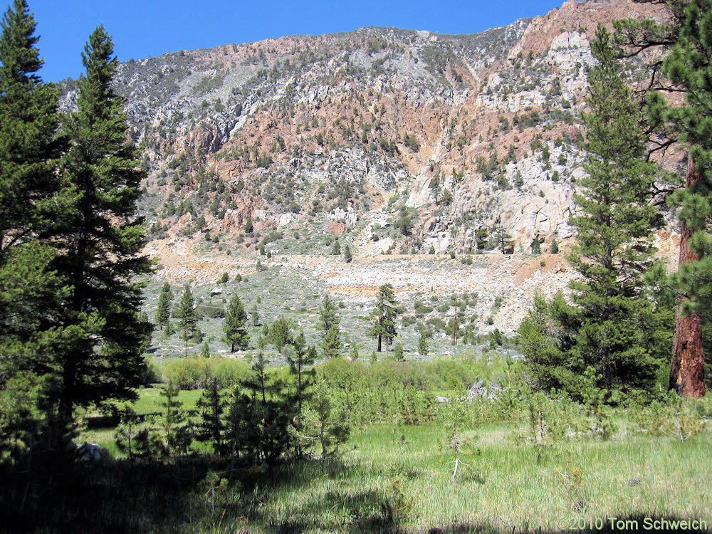 California, Mono County, Lee Vining Canyon