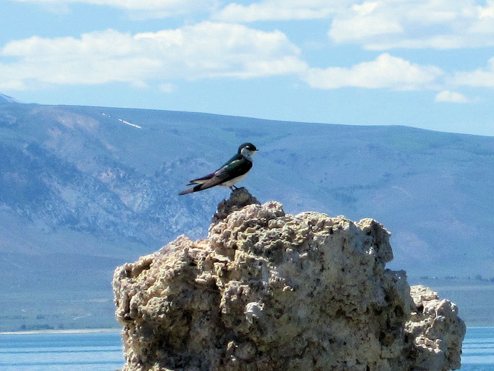 California, Mono County, South Tufa