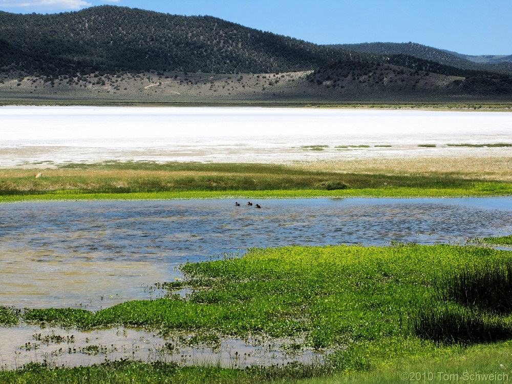 Nevada, Mineral County, Alkali Valley