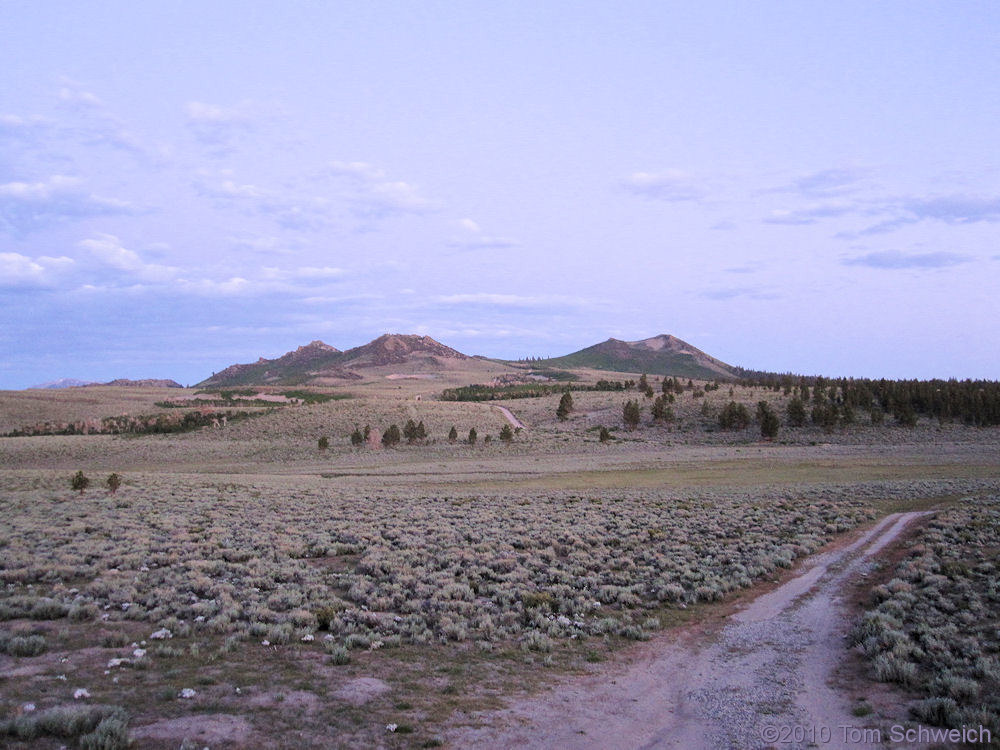 California, Mono County, Sagehen Meadow