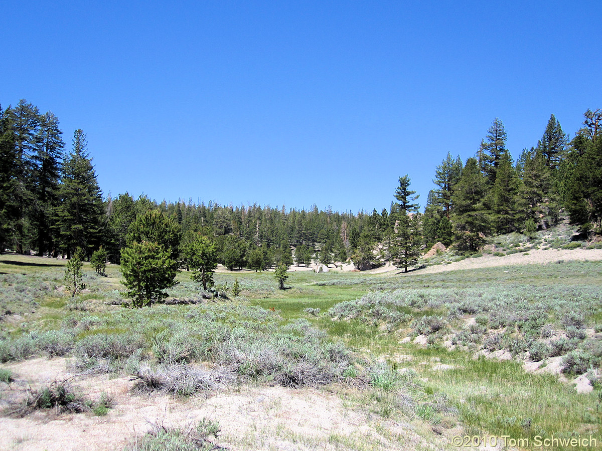 California, Mono County, Dry Creek