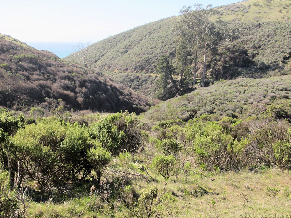 California, San Luis Obispo County, Harmony Headlands State Park